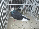 DSCN1468
