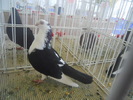 DSCN1470