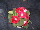 gloxinia