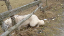 DSC09859