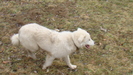 DSC09860