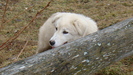 DSC09861