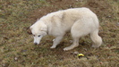 DSC09863