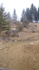 DSC09885