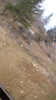 DSC09888