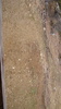 DSC09889
