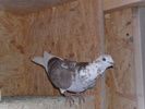 SAM_0045