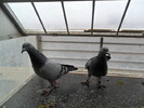 SAM_0057