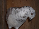 SAM_0058