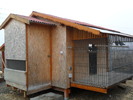 SAM_0067
