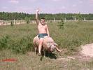 porc_blanos