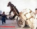 lansator_de_magar