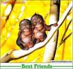 best_friends