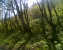 Imag150