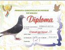 diploma10