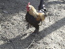 S4022157