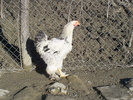 S4022179