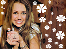 Sweetie-Miley-alex-of-wowp-vs-hannah-of-hm-15335215-1024-768[1]