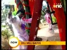 bscap0117