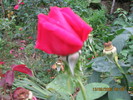 Picture 122