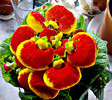 calceolaria