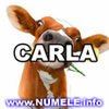 041-CARLA avatare cool