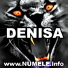 071-DENISA avatare nume baieti