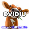 173-OVIDIU avatare cool