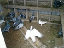 P220111_09.46_[01]
