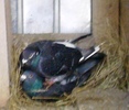 P220111_09.46_[02]u