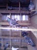 P220111_09.46_[03]