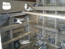 P220111_09.46_[04]