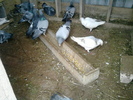 P220111_09.46_[05]