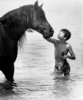 blackstallion