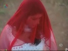 19956309_YNWPBDUMP