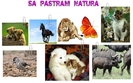 Postere Sa Pastram Natura