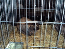 DSC01614