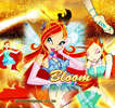 bloomimage