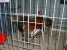 SANY0300