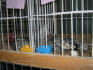 SANY0311