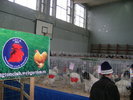 SANY0358