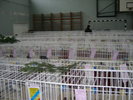 SANY0359