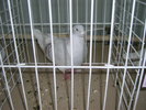 SANY0362