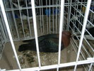 SANY0369