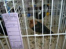 SANY0370