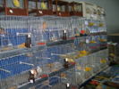 SANY0408
