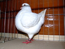 DSCF3657