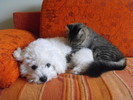 Ricky si Loly la odihna!