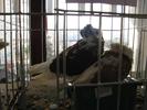 IMG_0133 - Copy