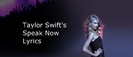 taylor swift song lyrics speak now